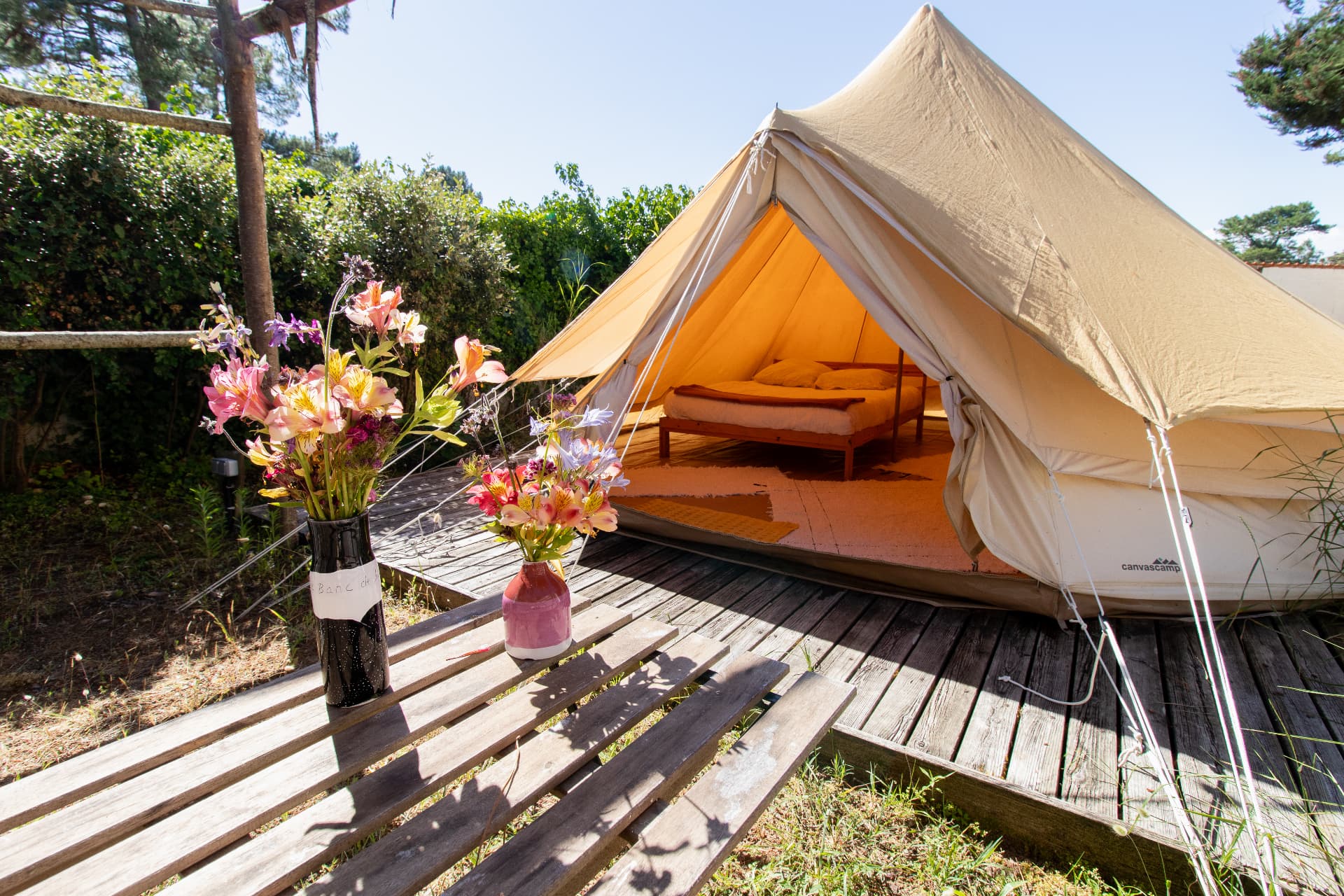 Tipi installé sous les pins de la Surf House
